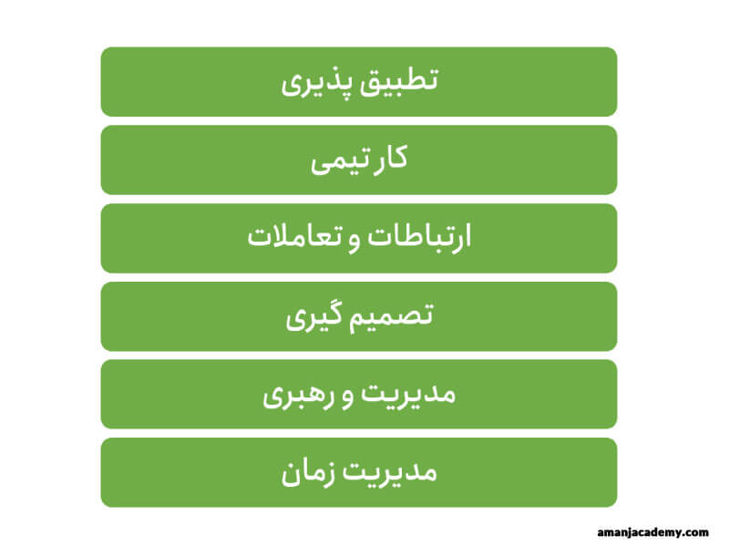 معیارهای مهارت نرم