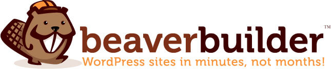 صفحه ساز braverbuilder