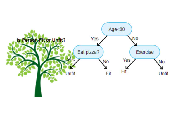 الگوریتم decision tree