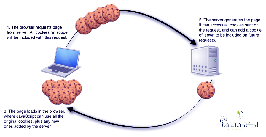 site cookies 