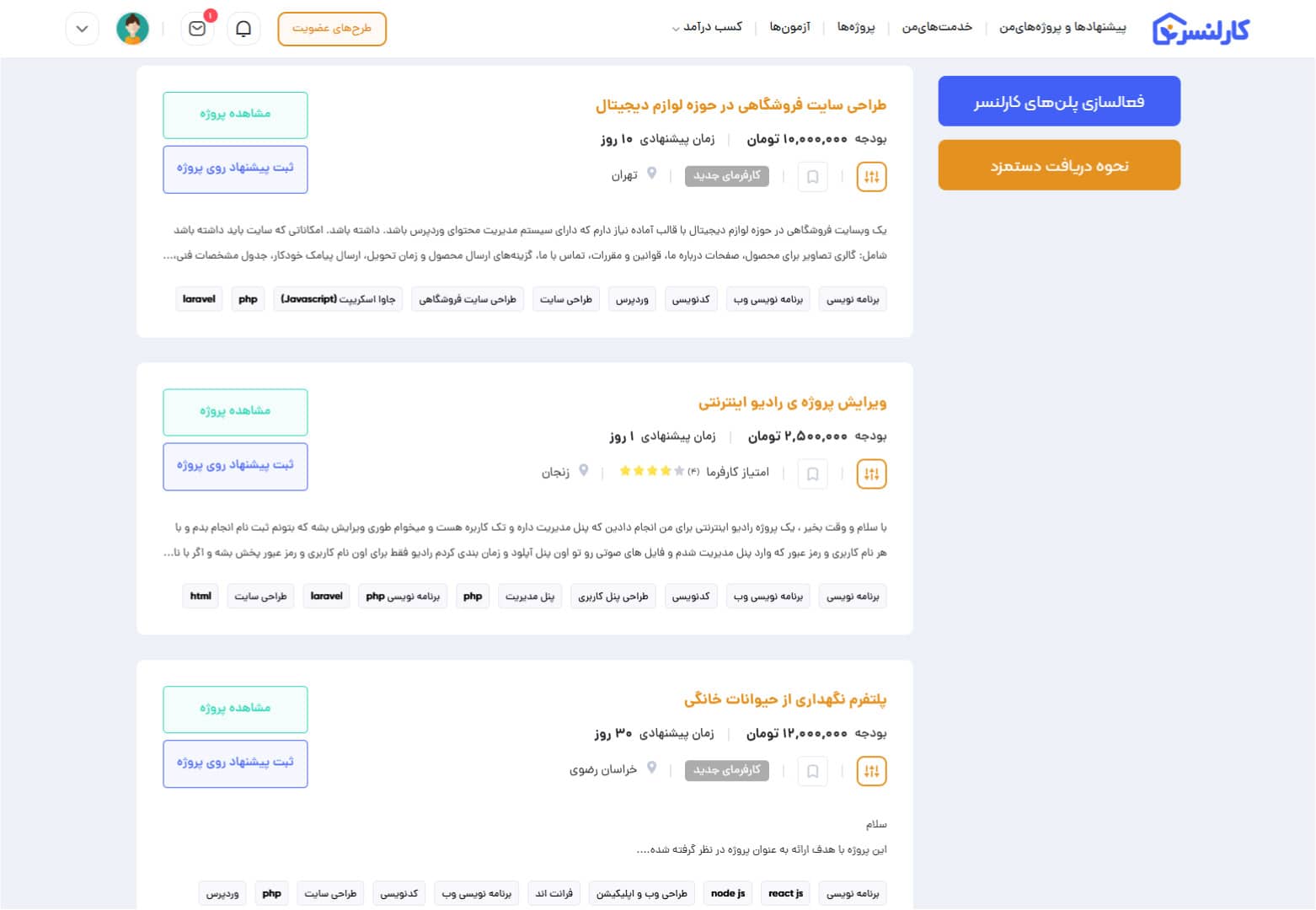 فریلنسری طراحی سایت در کارلنسر