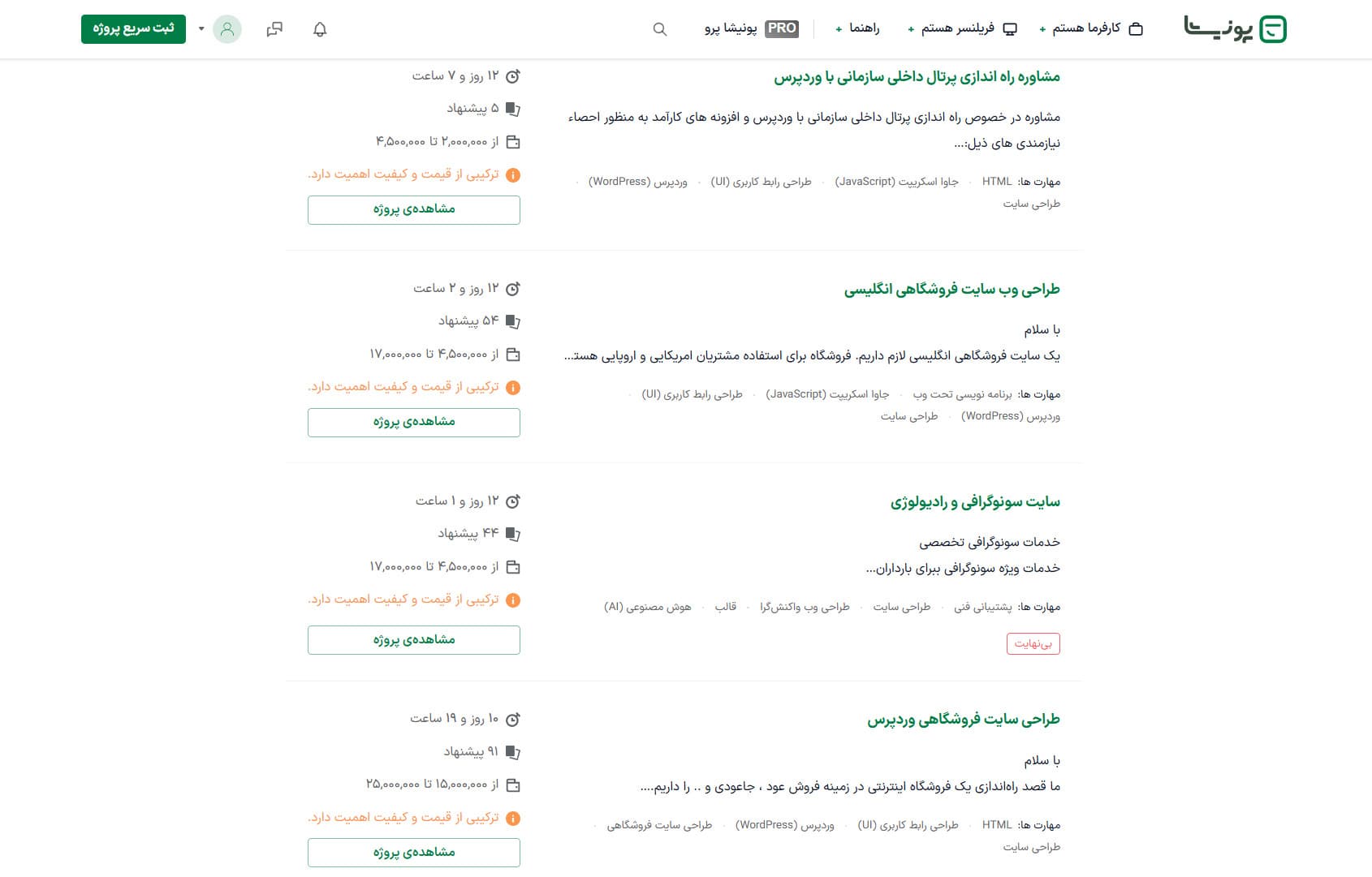 فریلنسری طراحی سایت در پونیشا
